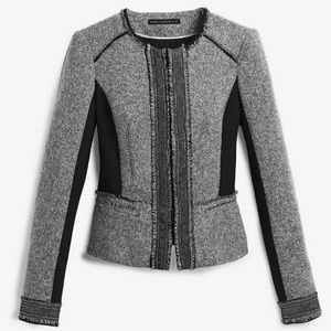 White House Black Market Tweed Moto Blazer Jacket